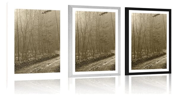 Poster cu passepartout potecă spre pădure în sepia