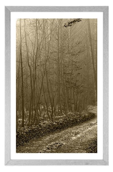 Poster cu passepartout potecă spre pădure în sepia