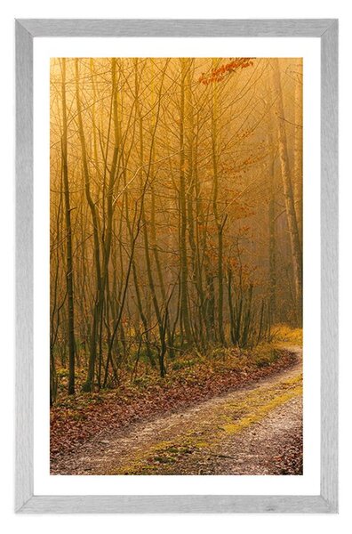 Poster cu passepartout potecă spre pădure