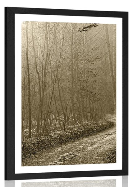 Poster cu passepartout potecă spre pădure în sepia