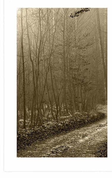 Poster cu passepartout potecă spre pădure în sepia