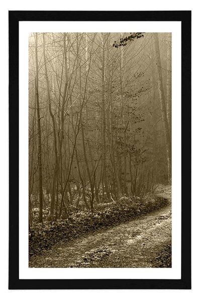 Poster cu passepartout potecă spre pădure în sepia