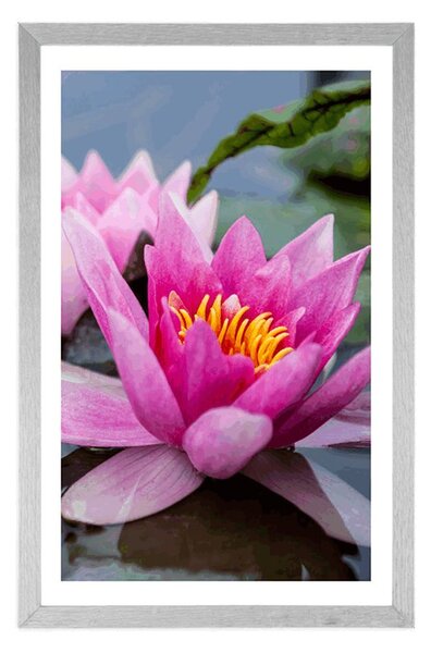 Poster cu passepartout floare de lotus roz