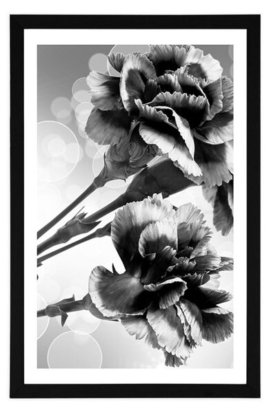 Poster cu passepartout floare de garoafă în design alb-negru