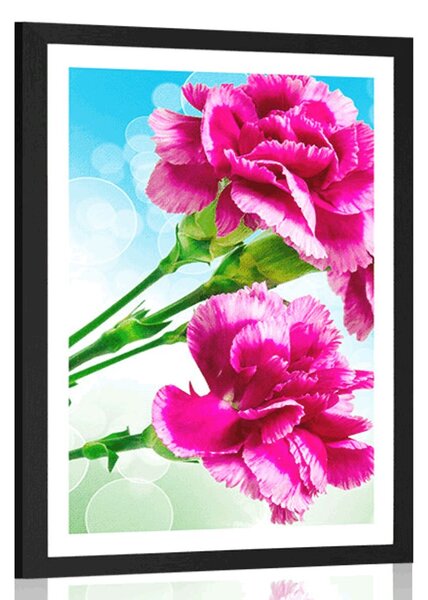 Poster cu passepartout floare de garoafă