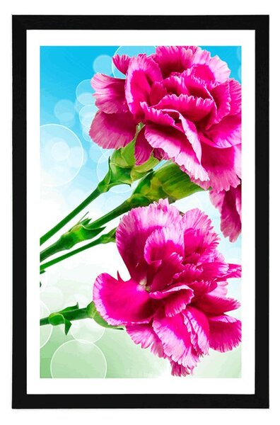 Poster cu passepartout floare de garoafă
