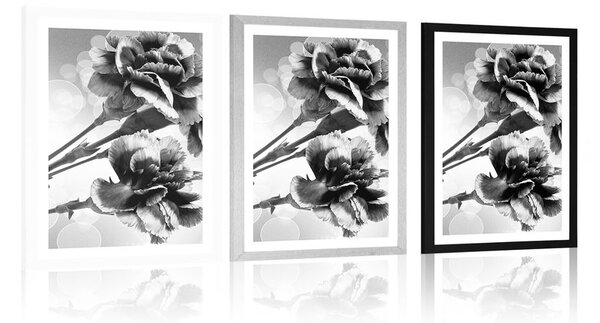 Poster cu passepartout floare de garoafă în design alb-negru
