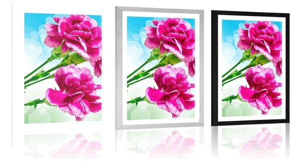 Poster cu passepartout floare de garoafă