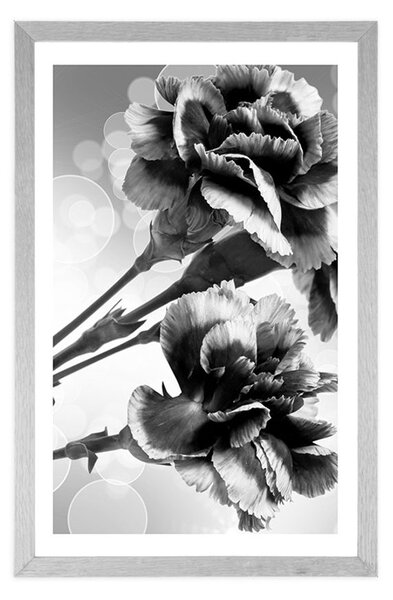 Poster cu passepartout floare de garoafă în design alb-negru