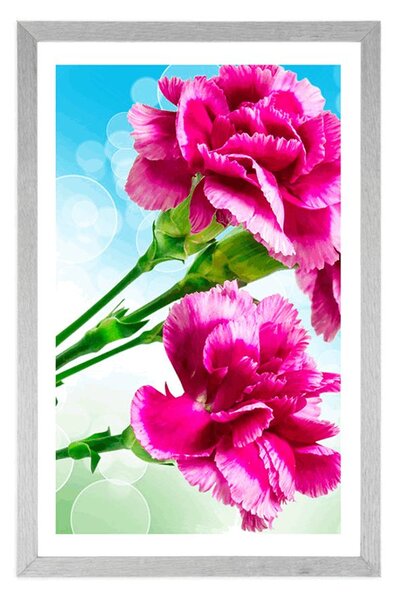 Poster cu passepartout floare de garoafă