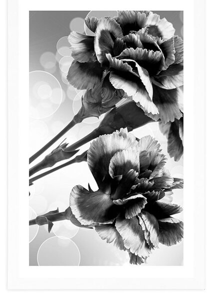 Poster cu passepartout floare de garoafă în design alb-negru