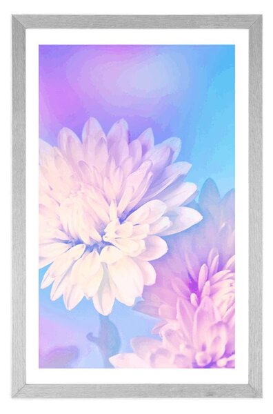Poster cu passepartout floare de crizantemă