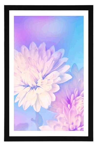 Poster cu passepartout floare de crizantemă