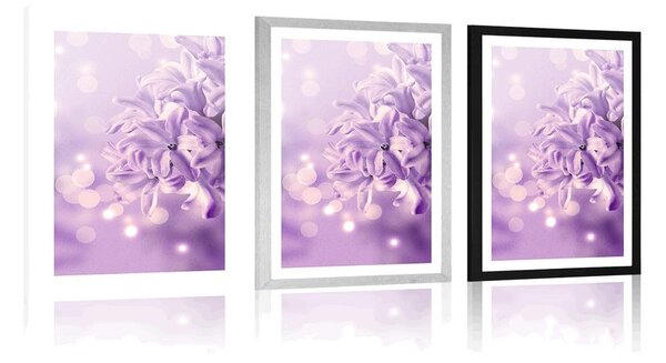 Poster cu passepartout floare de liliac violetă