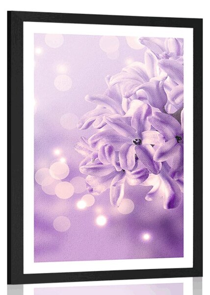 Poster cu passepartout floare de liliac violetă
