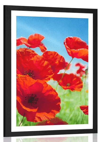 Poster cu passepartout flori de mac pe luncă