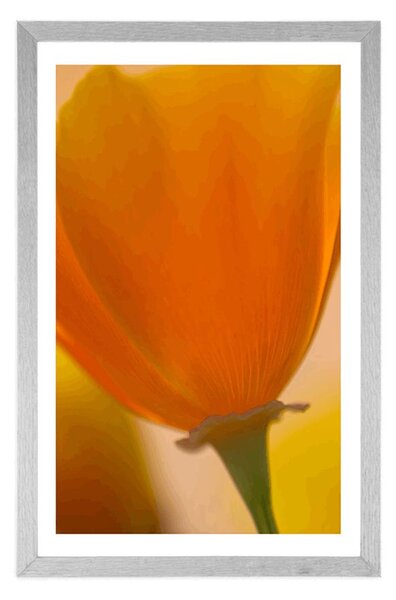 Poster cu passepartout buchet de flori în vedere detaliată