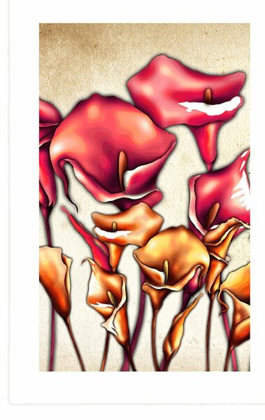 Poster cu passepartout flori roșii de calla