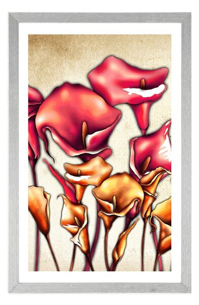 Poster cu passepartout flori roșii de calla