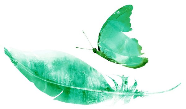 Tapet pană cu fluture în design verde