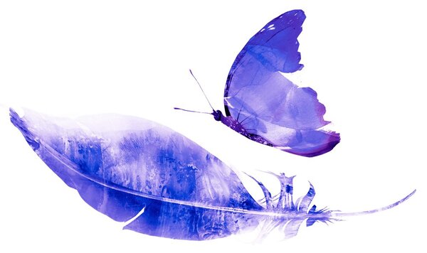 Tapet pană cu fluture în design violet