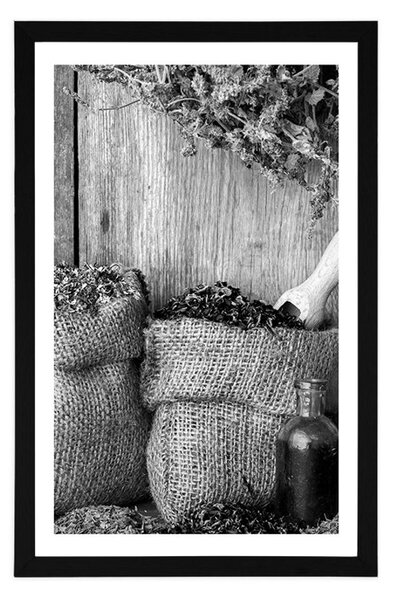 Poster cu passepartout plante medicinale în design alb-negru