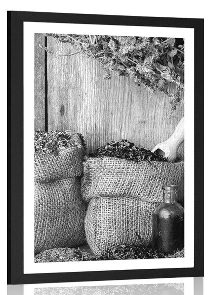 Poster cu passepartout plante medicinale în design alb-negru