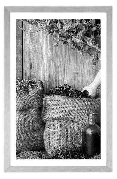 Poster cu passepartout plante medicinale în design alb-negru