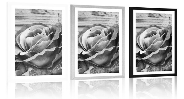Poster cu passepartout trandafir elegant vintage în design alb-negru