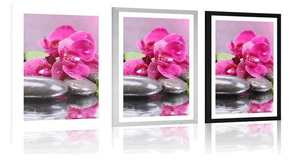 Poster cu passepartout orhidee cu atingere de relaxare