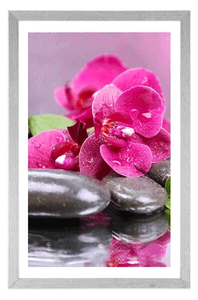 Poster cu passepartout orhidee cu atingere de relaxare