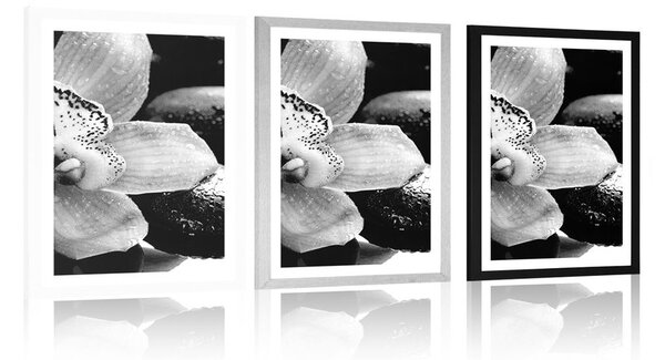 Poster cu passepartout orhidee exotică în design alb-negru