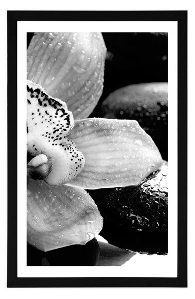 Poster cu passepartout orhidee exotică în design alb-negru
