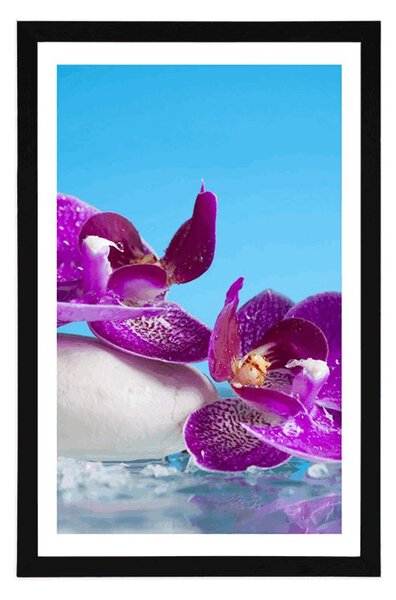 Poster cu passepartout natură moartă wellness