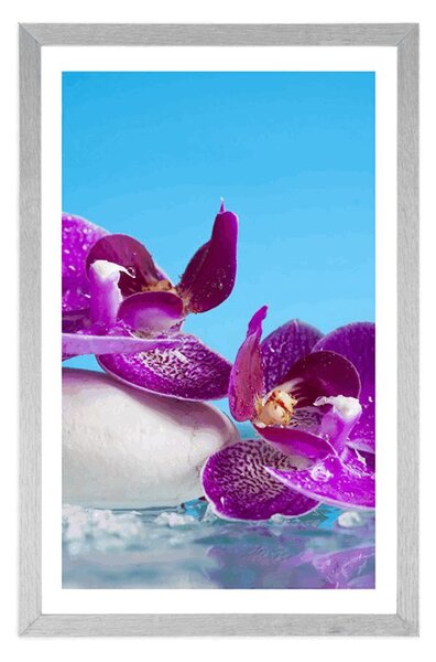 Poster cu passepartout natură moartă wellness
