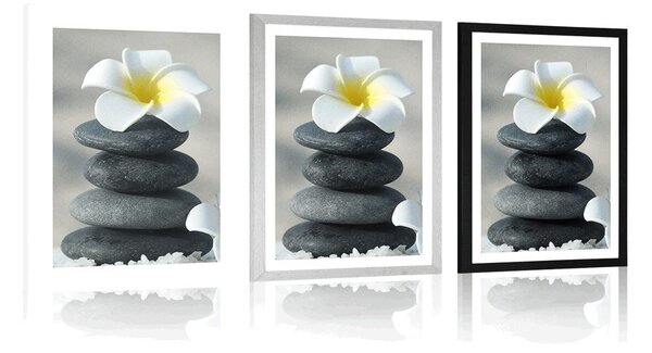 Poster cu passepartout pietre armonioase și o floare de plumeria