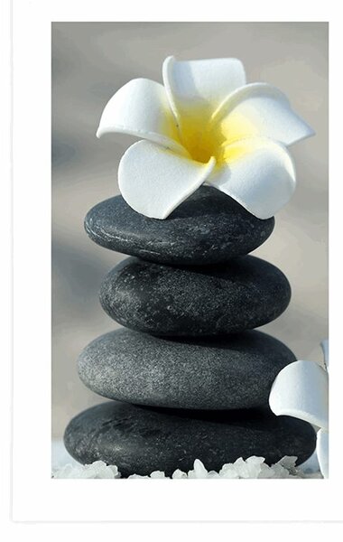 Poster cu passepartout pietre armonioase și o floare de plumeria
