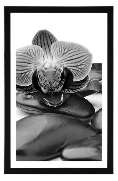 Poster cu passepartout pietre wellness de masaj în design alb-negru