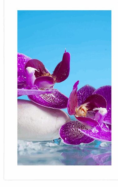 Poster cu passepartout natură moartă wellness
