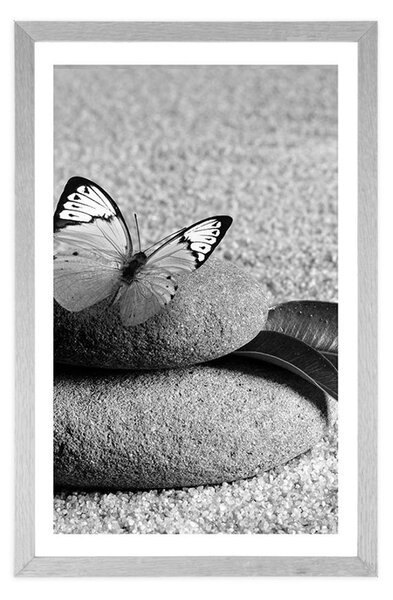 Poster cu passepartout fluture pe piatră Zen în design alb-negru