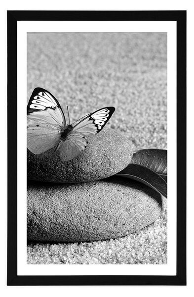 Poster cu passepartout fluture pe piatră Zen în design alb-negru