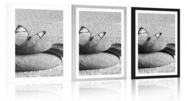 Poster cu passepartout fluture pe piatră Zen în design alb-negru