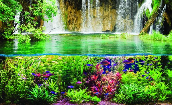 Fototapet - Plantele pești și cascada (254x184 cm)