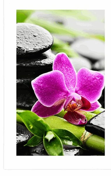 Poster cu passepartout natură moartă wellness cu orhidee violetă