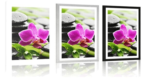 Poster cu passepartout natură moartă wellness cu orhidee violetă