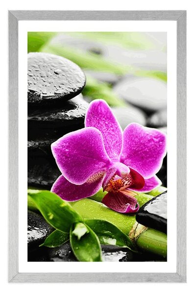 Poster cu passepartout natură moartă wellness cu orhidee violetă
