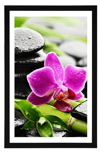 Poster cu passepartout natură moartă wellness cu orhidee violetă
