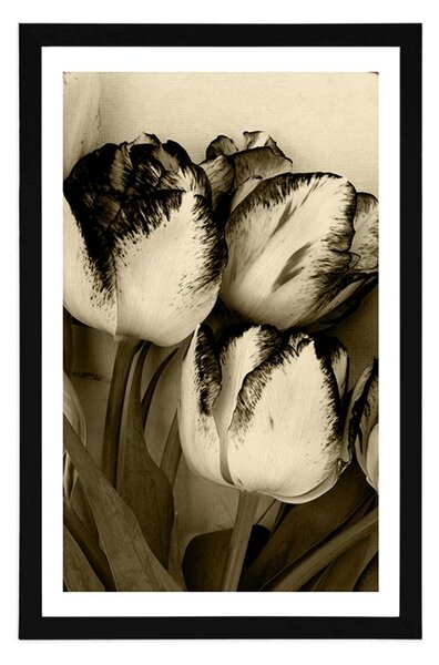 Poster cu passepartout lalele de primăvară în design sepia