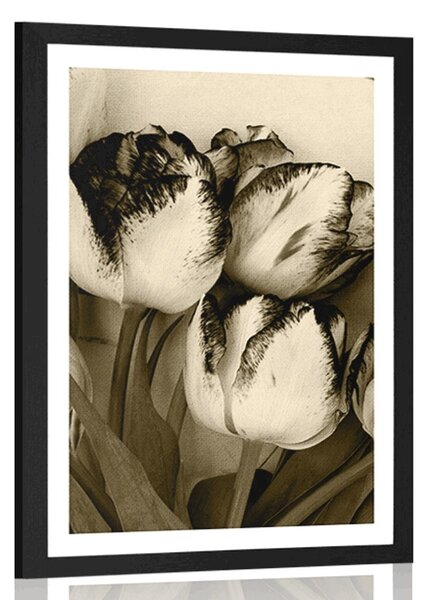 Poster cu passepartout lalele de primăvară în design sepia