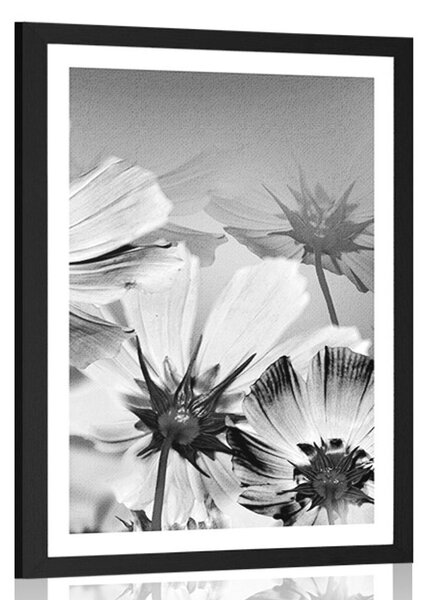 Poster cu passepartout flori de gradină în design alb-negru